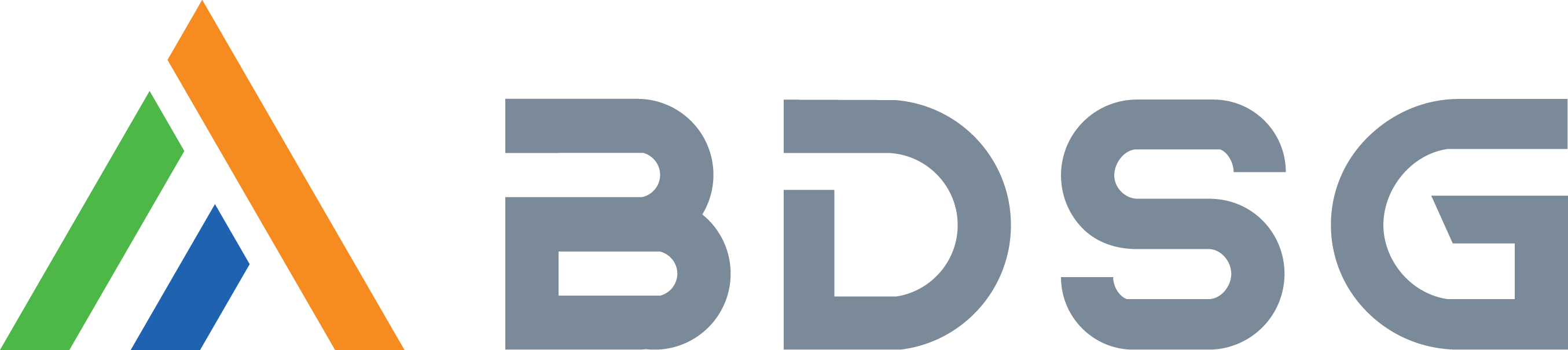 BDSG Software
